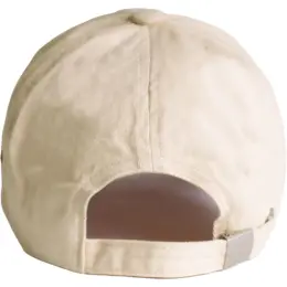 FWRD Putter Cap Stone Back
